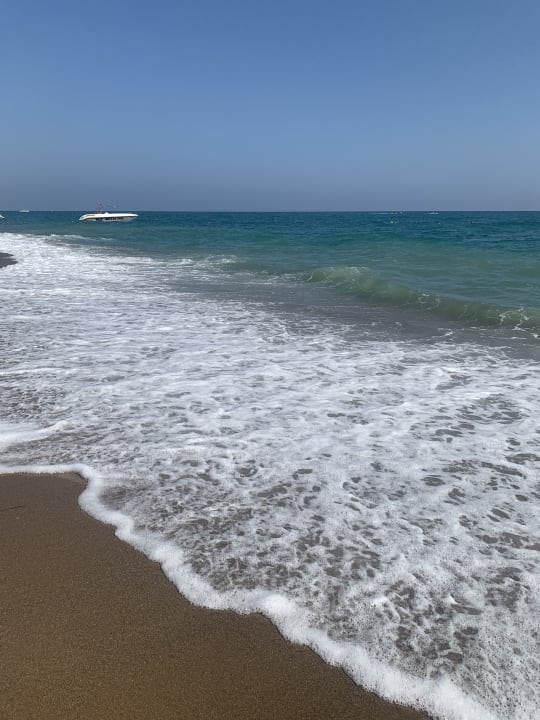 Strand Paloma Finesse