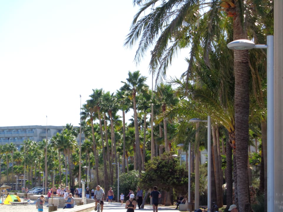 Strand Hotel Mariant Park