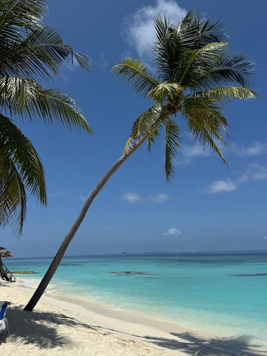 Strand Angaga Island Resort