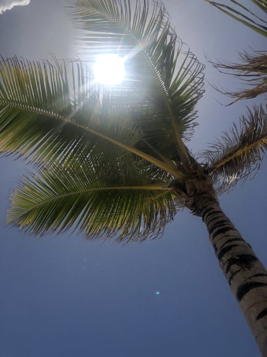 Ausblick Hotel Riu Republica - Adults only