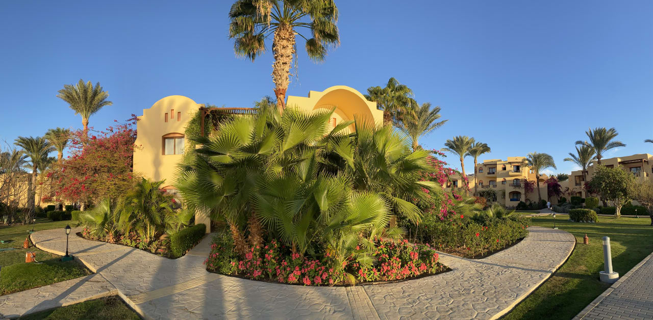 Gartenanlage Steigenberger Coraya Beach - Adults only