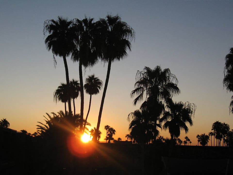 Ausblick vom Balkon morgens um 6 Uhr Joie de Vivre Hotel The Saguaro Palm Springs