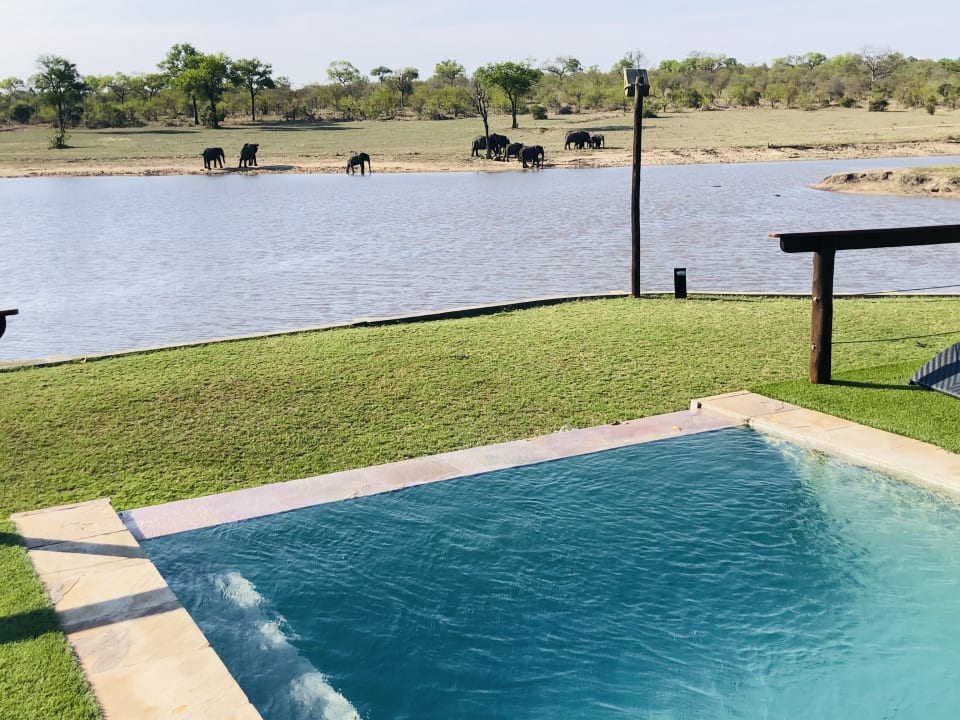 Pool Hotel Arathusa Safari Lodge