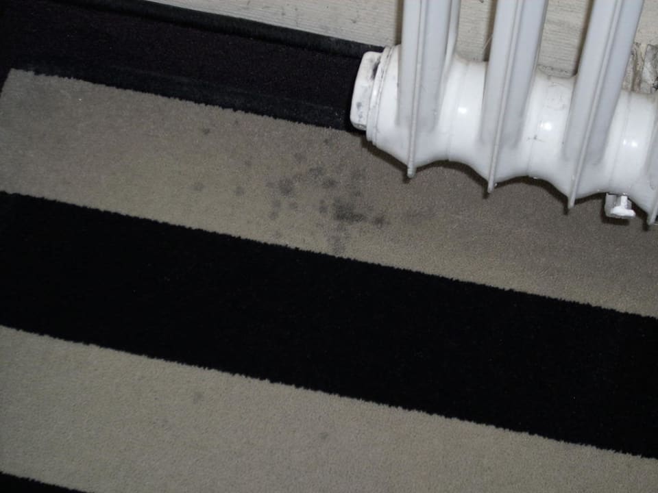 Ohne Worte Bristol Hotel