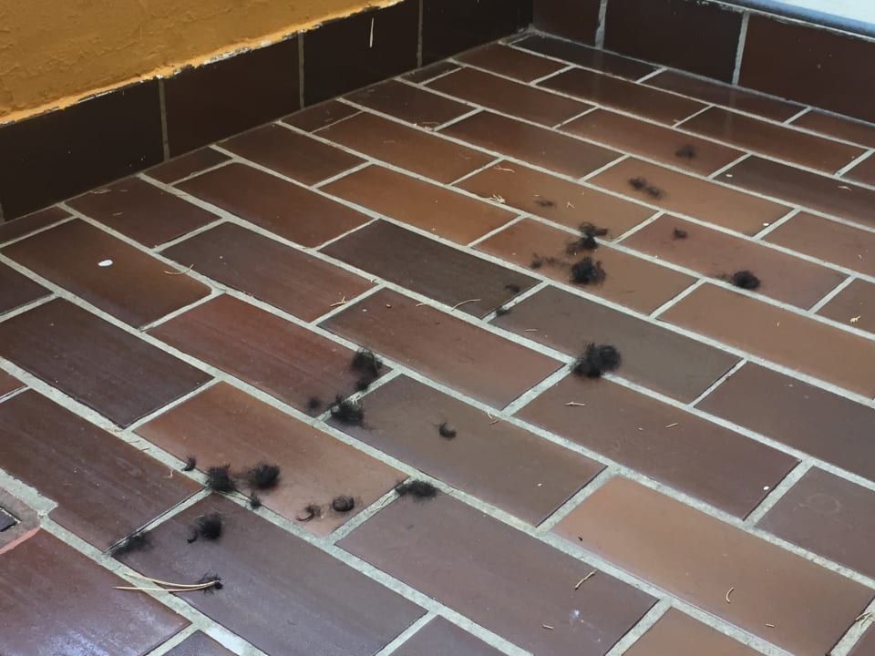 Zimmer Veli Mel Hotel