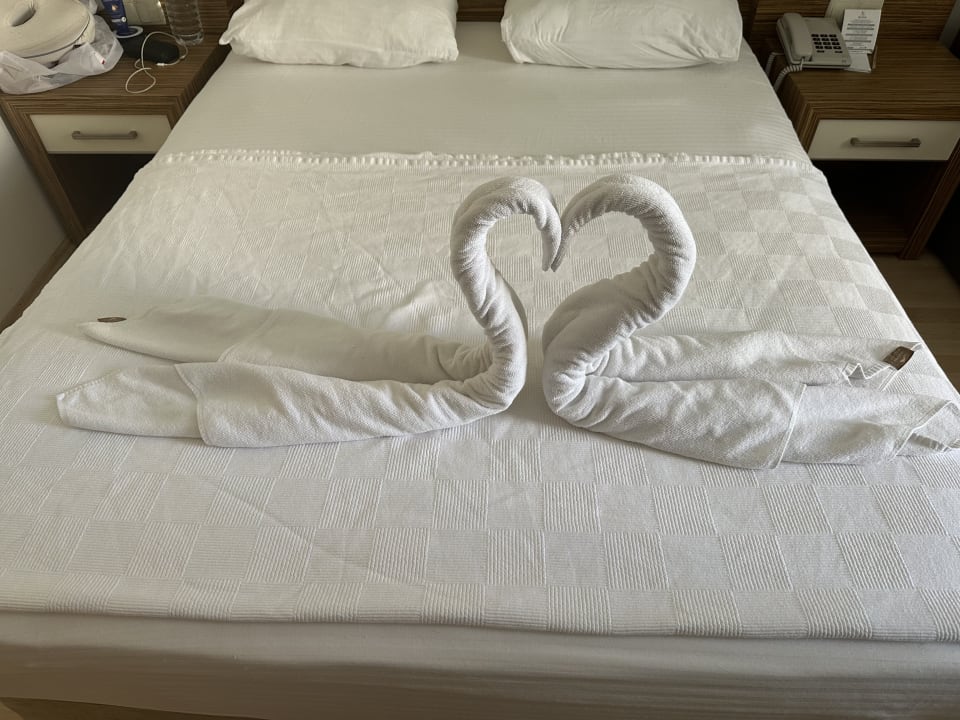 Zimmer Blue Diamond Alya