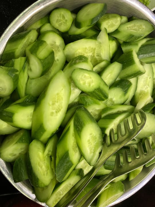 Gastro Seashell Vega