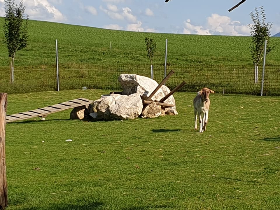 Gartenanlage Bauernhof - Pension Zenzlgut