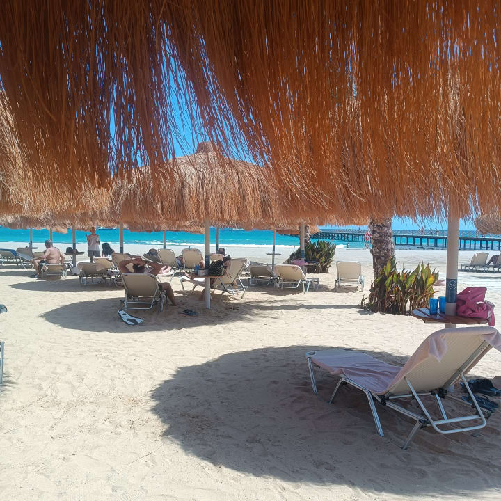 Strand JAZ Elite Amara