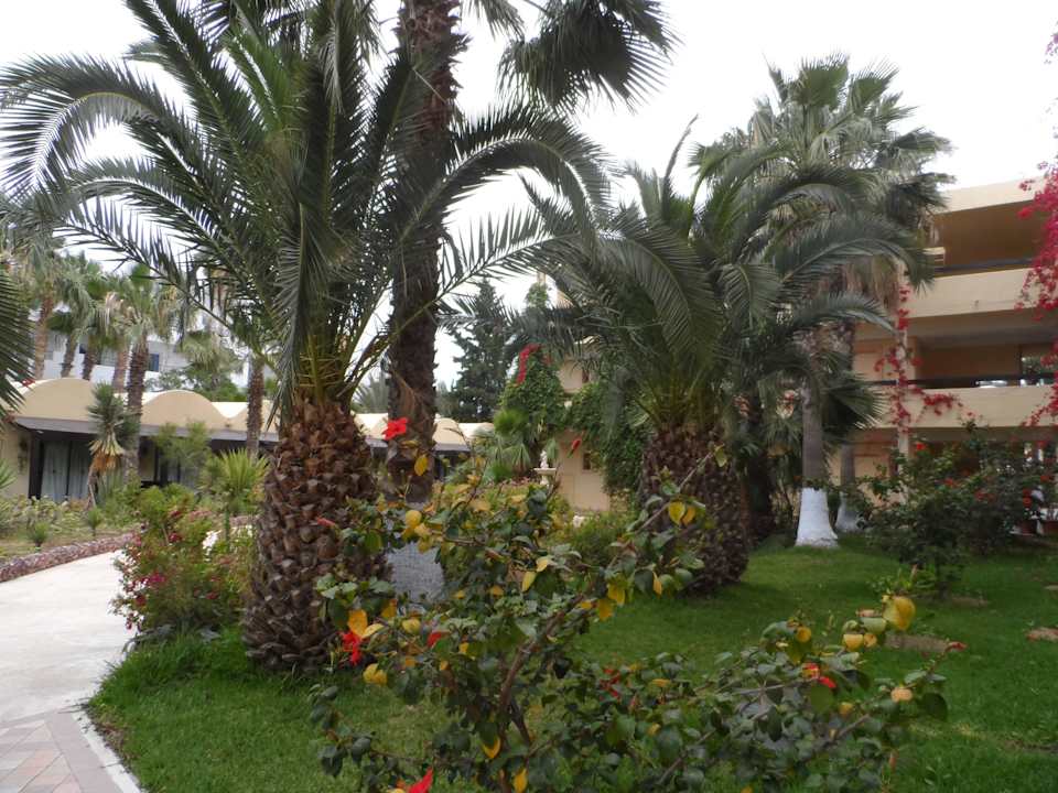 Ogród Hotel Paradis Palace