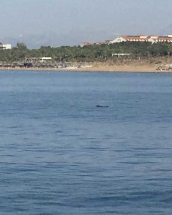 Strand Side West Park Hotel