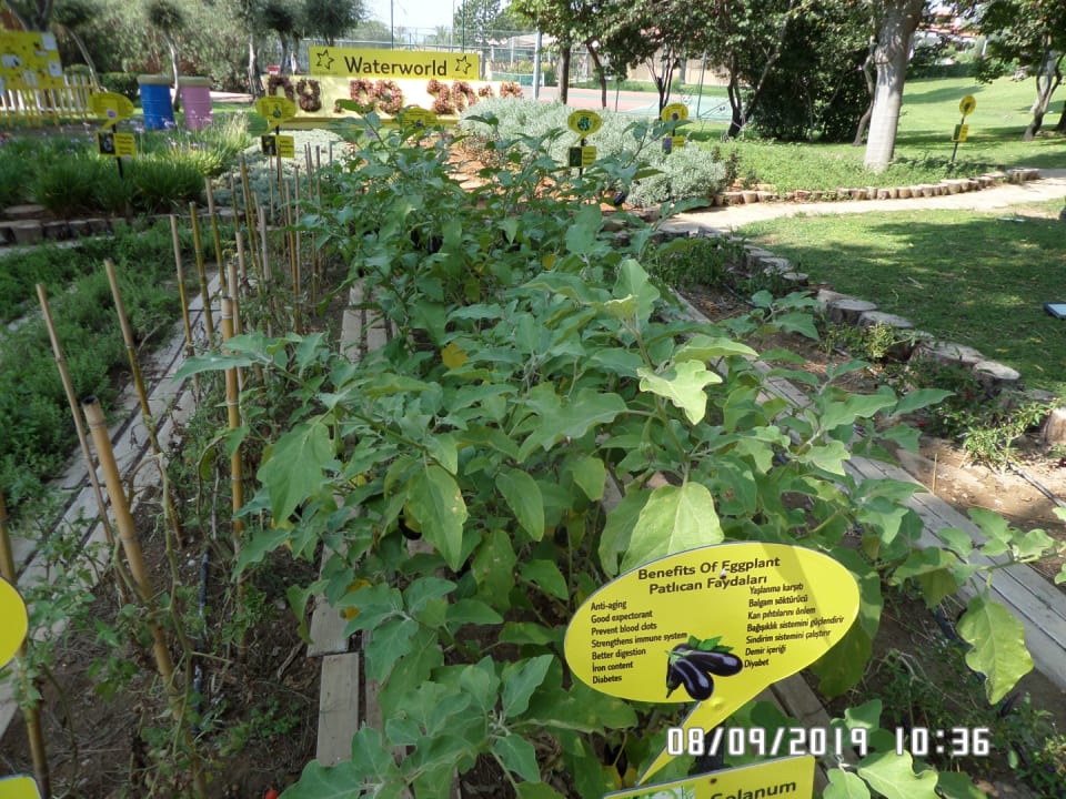 Gartenanlage Asteria Family Belek