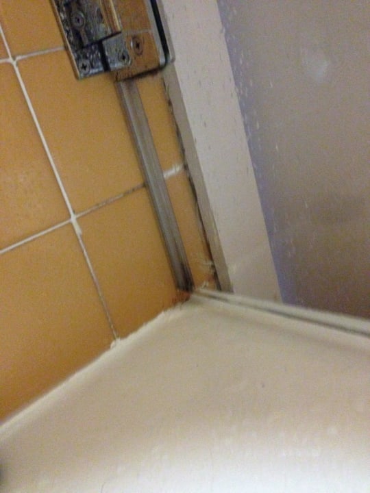 Schimmel Be Live Experience Costa Palma