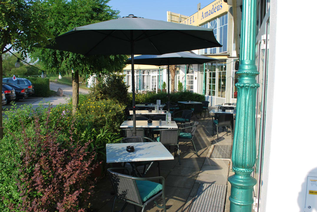 Der Biergarten Atrium Hotel Amadeus