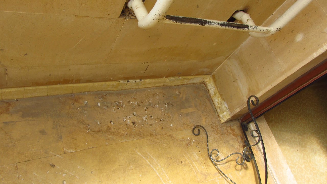 Vogelkot auf den Türschwellen Tourist Hotels & Resorts Cappadocia