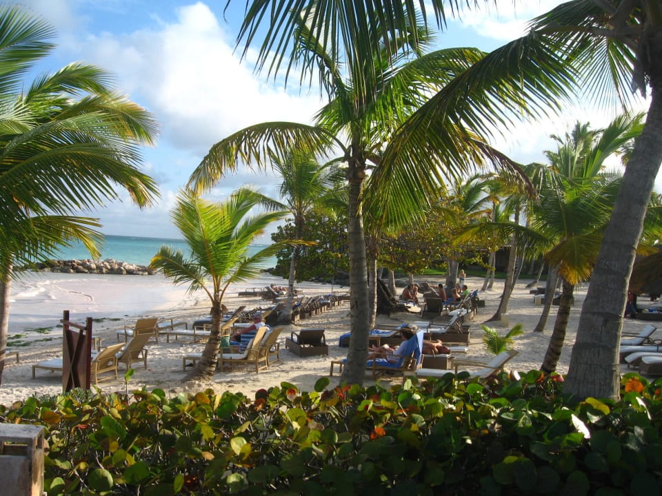 Hotelstrand Sanctuary Cap Cana - Adults only