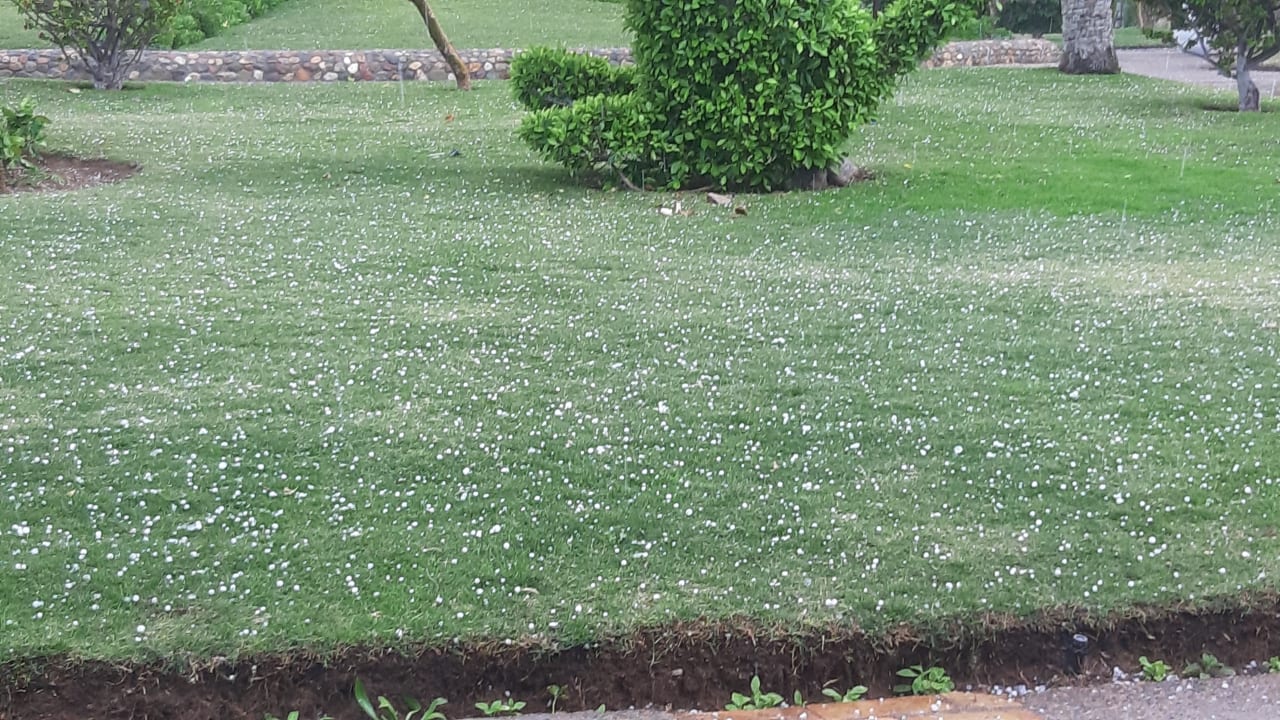 Gartenanlage Jaz Makadi Oasis Resort