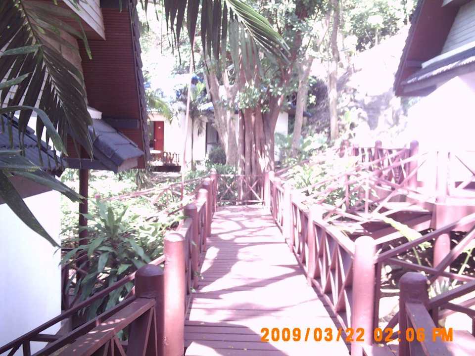 Weg zum Bungalow Hotel Coral Island Resort