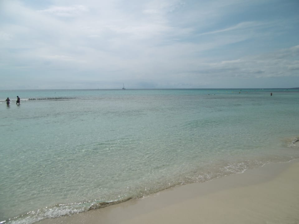 Strand Sol Milanos Pinguinos by Melia
