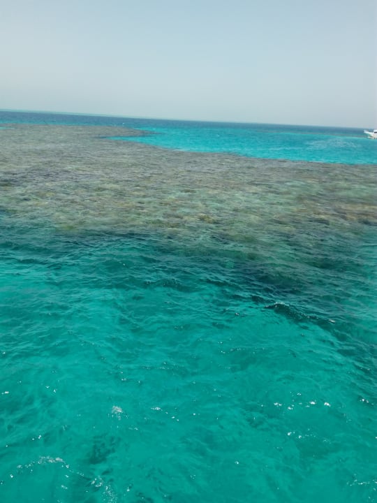 Ausblick Grand Waterworld Makadi & Family Star Makadi