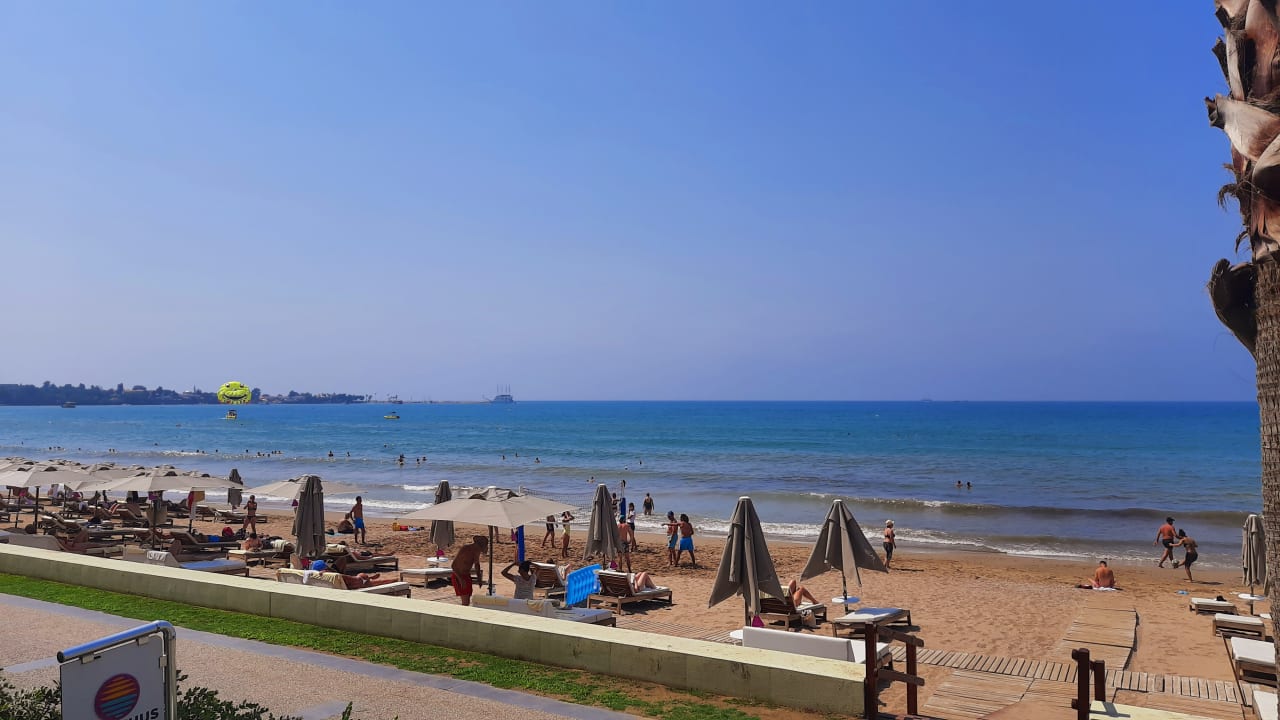 Strand Acanthus Cennet Barut Collection