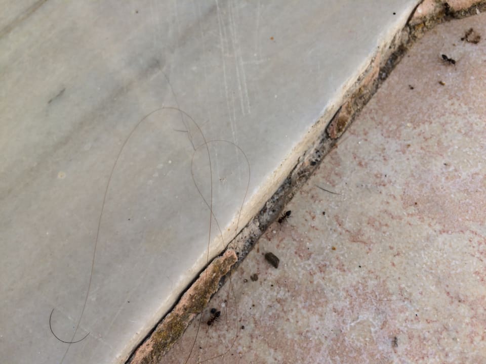 Zimmer Summer Village of Hippokrates - Adults only