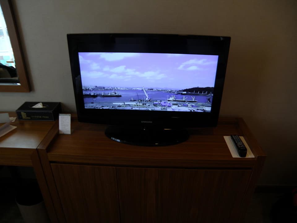 TV Harbor Park Hotel