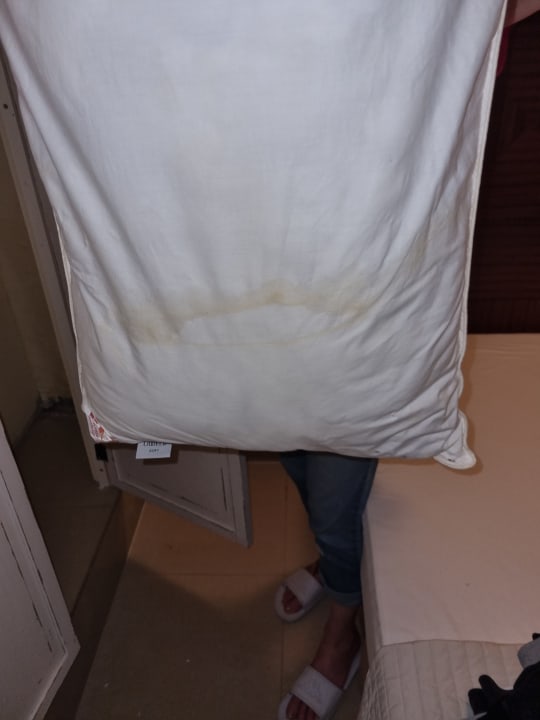 Zimmer Parkhotel Dallgow