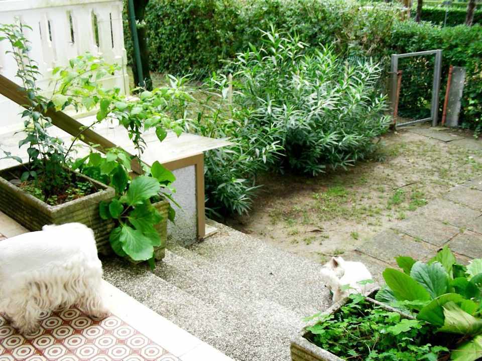 Villa Erika Ende September 2010 Villa Erica