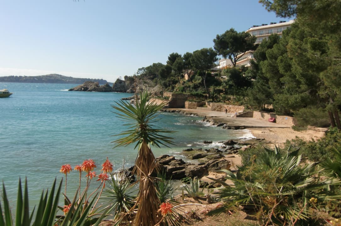 Gepflegte kleine Außenanlage zum Strand runter Hotel Coronado Thalasso & Spa
