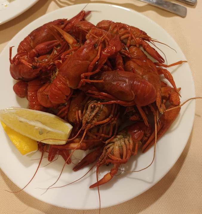 Gastro Seher Resort & Spa