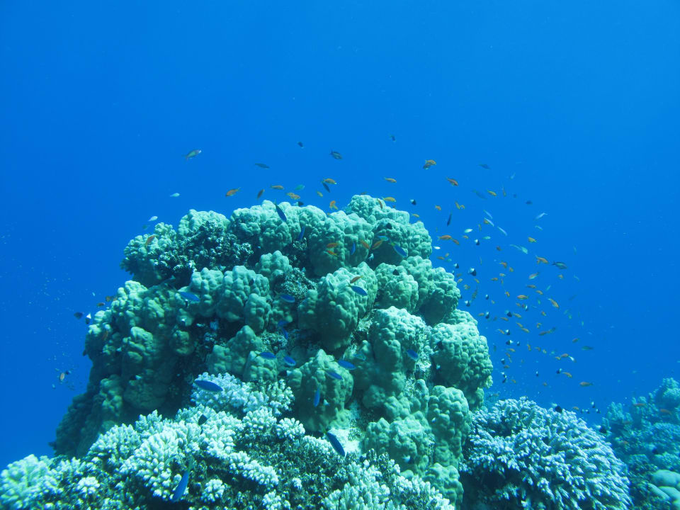 Sport & Freizeit Three Corners Equinox Beach Resort