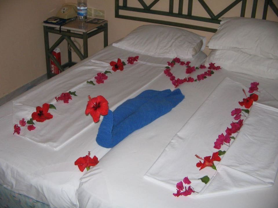 geschmücktes Bett Eden Club