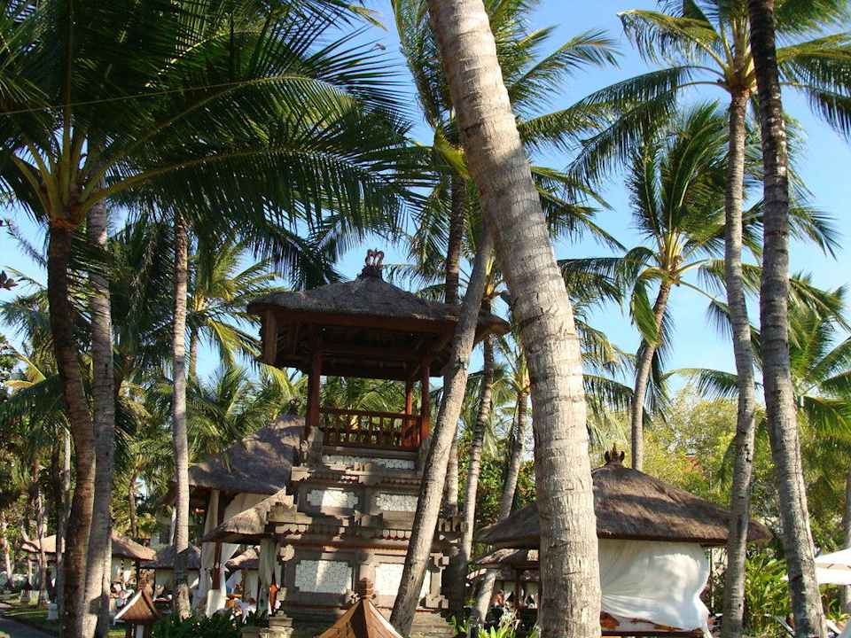 Garten The Laguna A Luxury Collection Resort & Spa