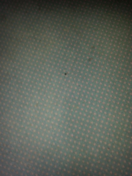 Verschmutzter Teppich Burghotel Am Hohen Bogen