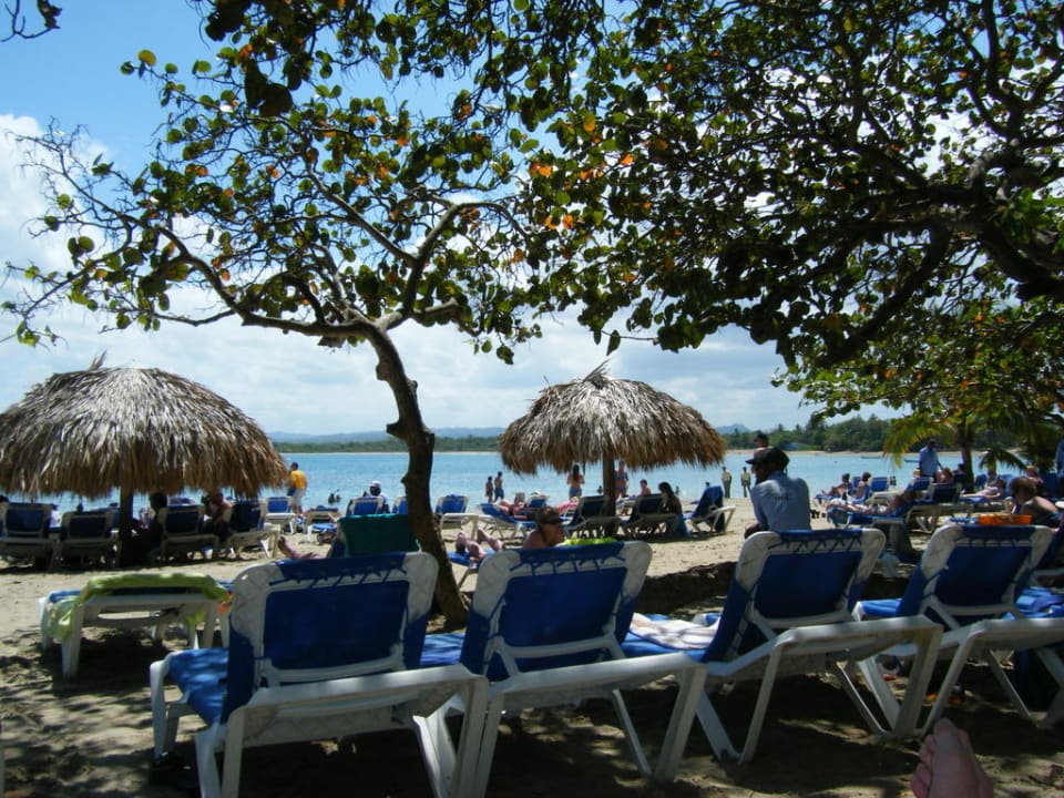 Liegen am Strand Sunscape Puerto Plata