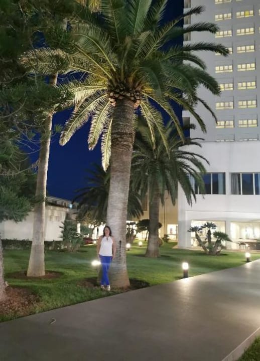 Gartenanlage CM Castell de Mar