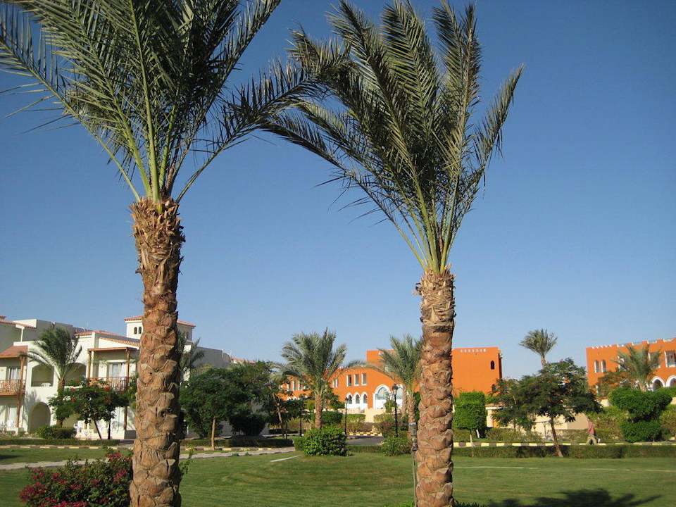 Gartenanlage Pickalbatros Dana Beach Resort - Hurghada