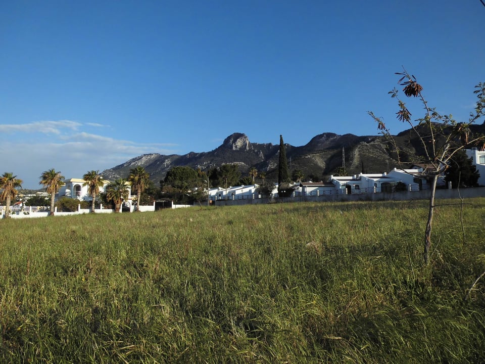 Ausblick von der Anlage The Olive Tree Hotel