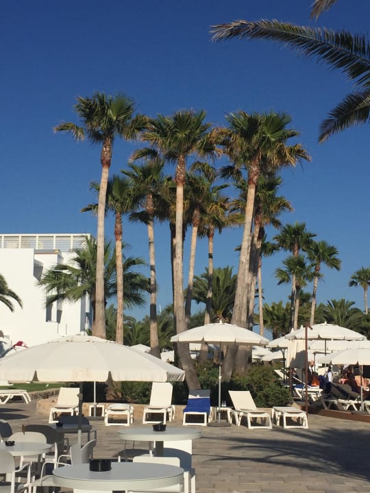 Pool Grand Palladium Select Palace Ibiza