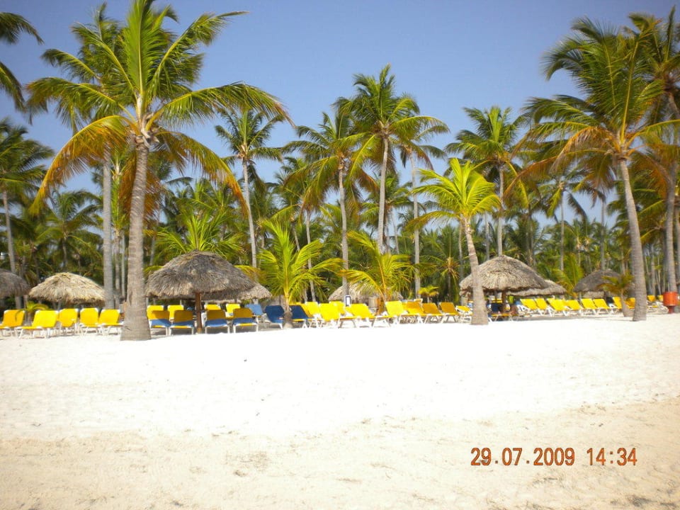 Schöner Strand Catalonia Punta Cana - All Inclusive