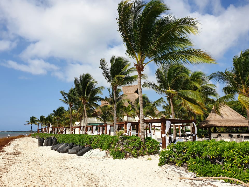 "Strand" BlueBay Grand Esmeralda (Playa Del Carmen / Playacar ...