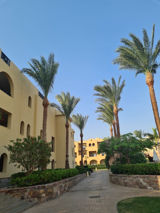 Gartenanlage Stella Garden Resort & Spa, Makadi Bay