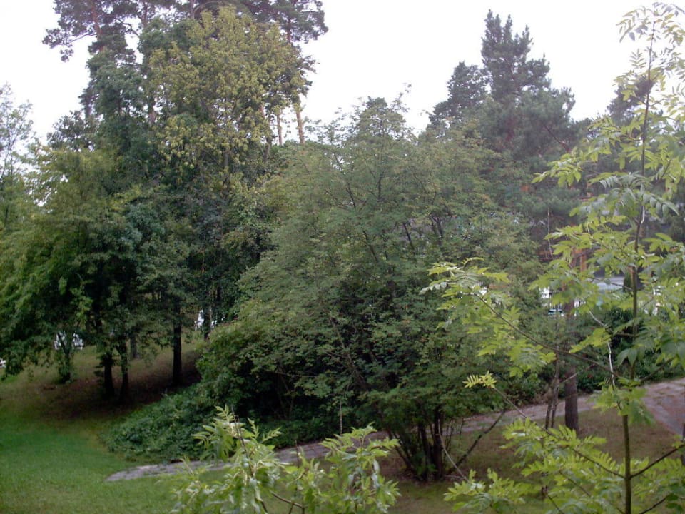 Im Garten des Hotels, gleichzeitig Liegewiesen Hotel Sonnenhügel