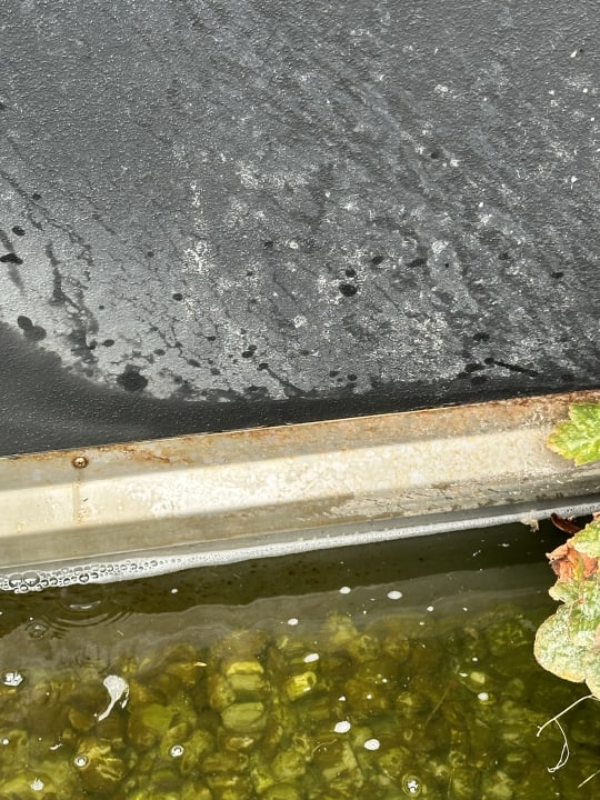 Außenansicht Merangardenvilla adults only