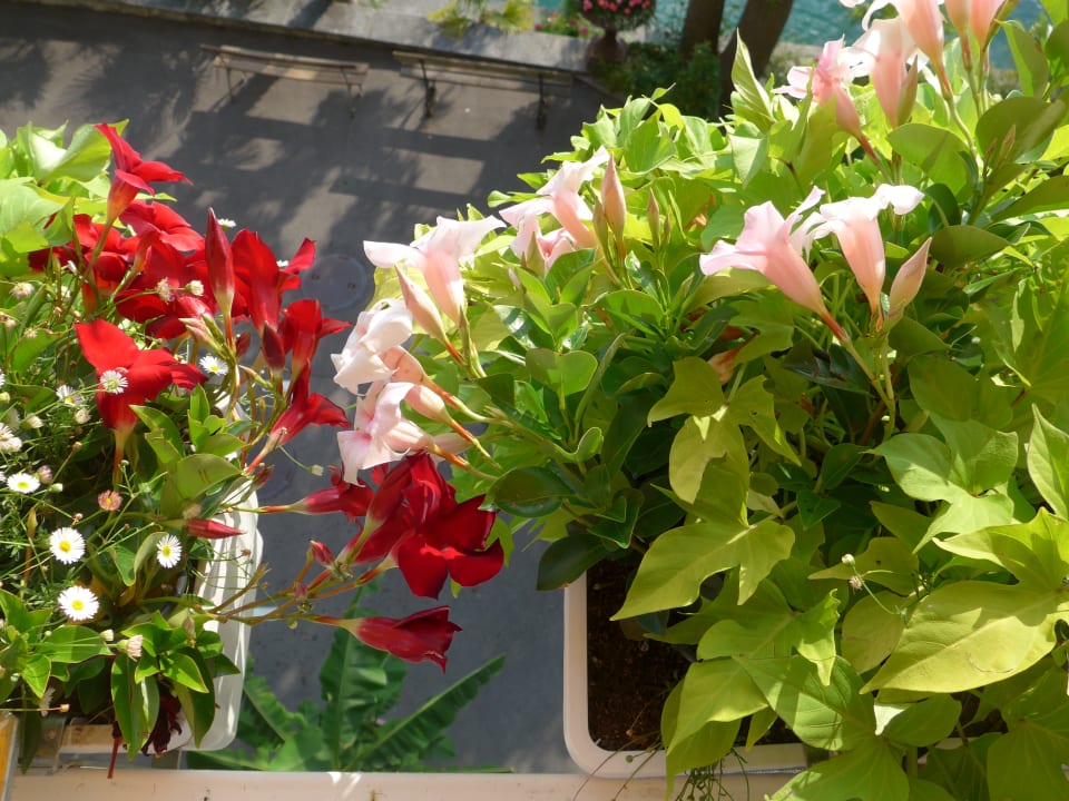 Zimmer Beatus Wellness- & Spa-Hotel