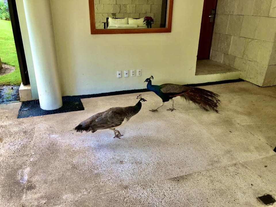 Sonstiges Blue Diamond Luxury Boutique Hotel