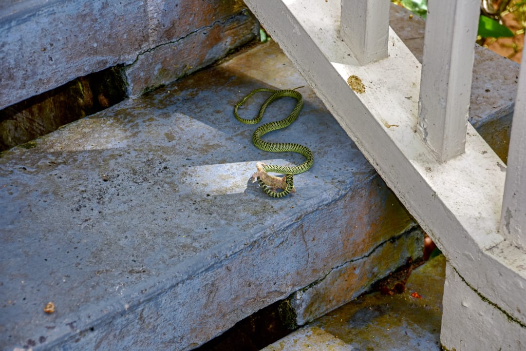 Sonstiges Dusit Thani Krabi Beach Resort