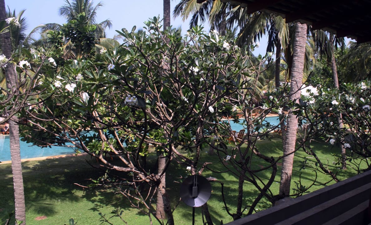 Ausblick aus dem Balkon Hotel Jetwing Beach