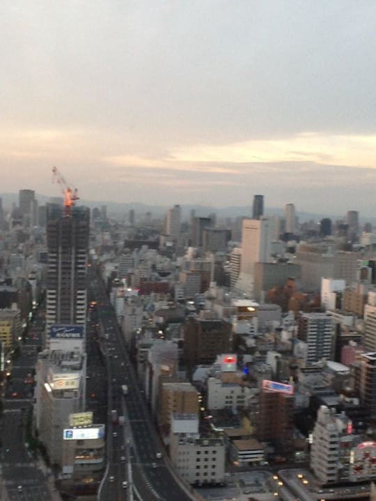 View from the room Hotel Monterey Grasmere Osaka